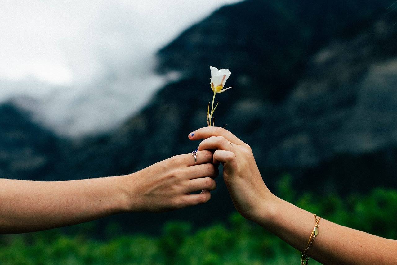 Notre zone d'activité pour ce service Soin aux plantes de montagne 100% naturel en institut de beauté